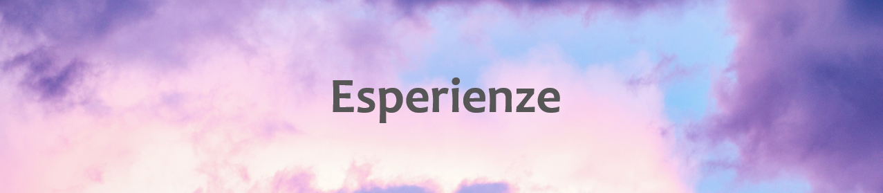 Experiences banner